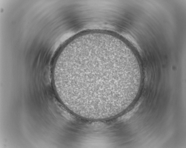 X0000088230974200706121852