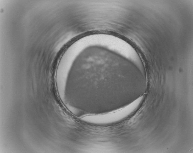 X0000088230975200706121852