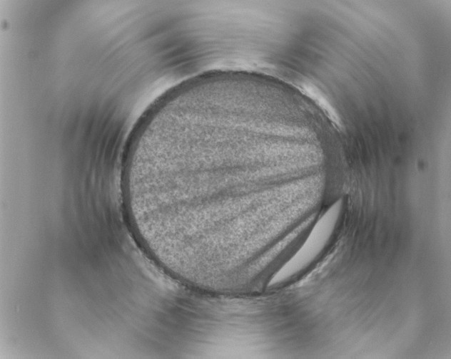 X0000088230976200706121852