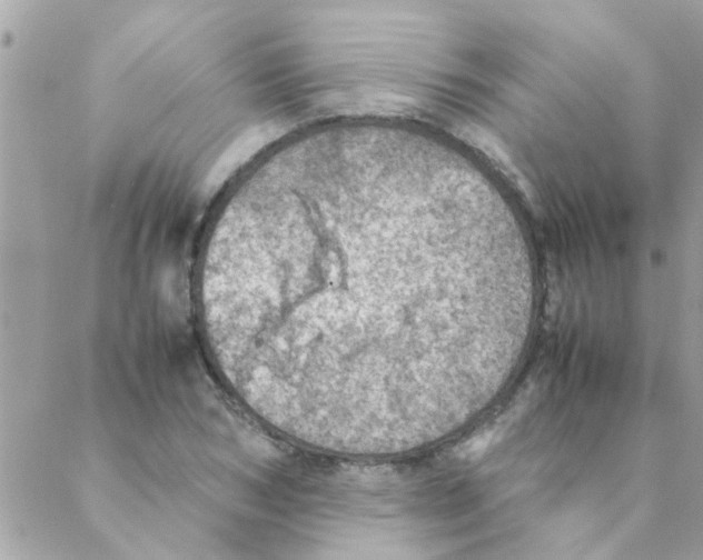 X0000088230978200706121851