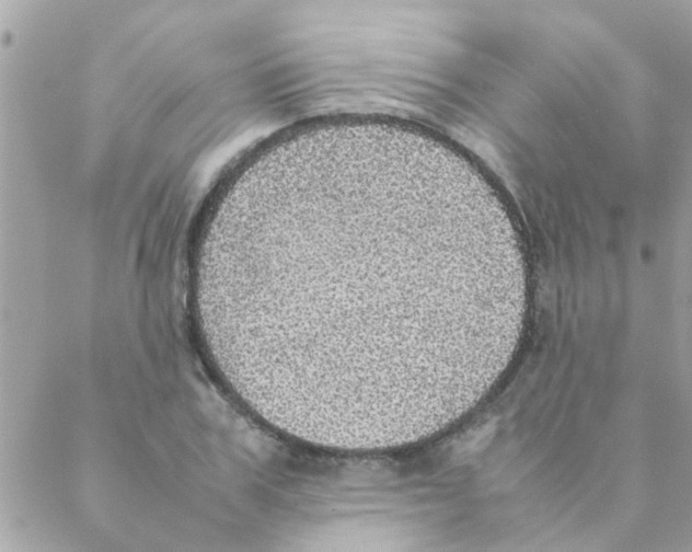 X0000088230979200706121851