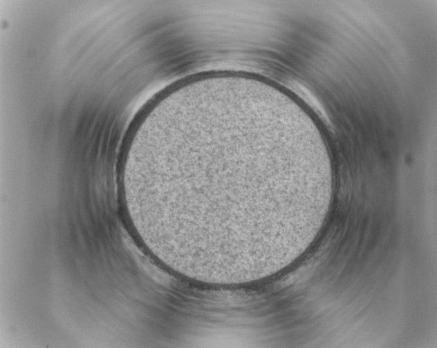 X0000088230980200706121851