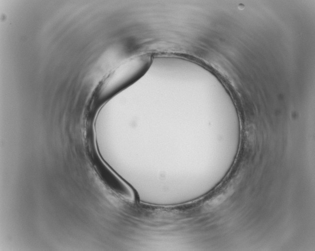 X0000088230981200706121851