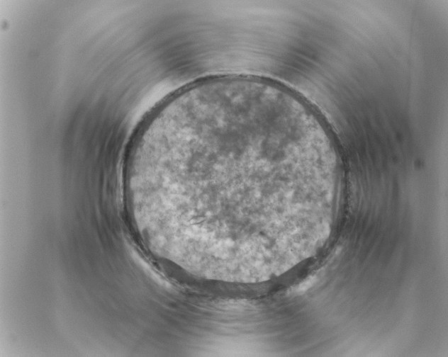 X0000088230982200706121851