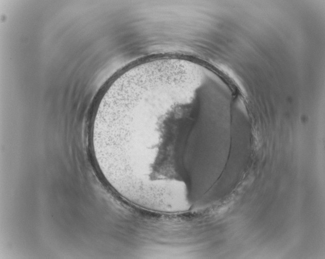 X0000088230983200706121851