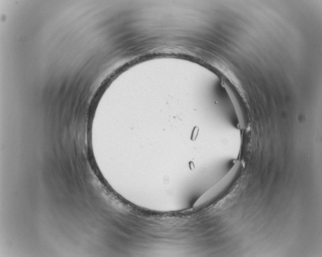 X0000088230984200706121851