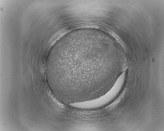 X0000088230985200706121851