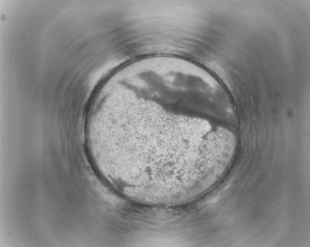 X0000088230987200706121851