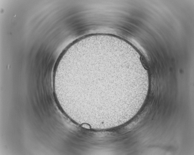 X0000088230988200706121851