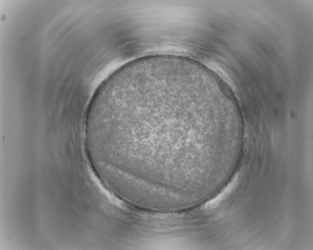 X0000088230989200706121851