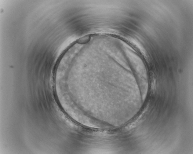 X0000088230990200706121851