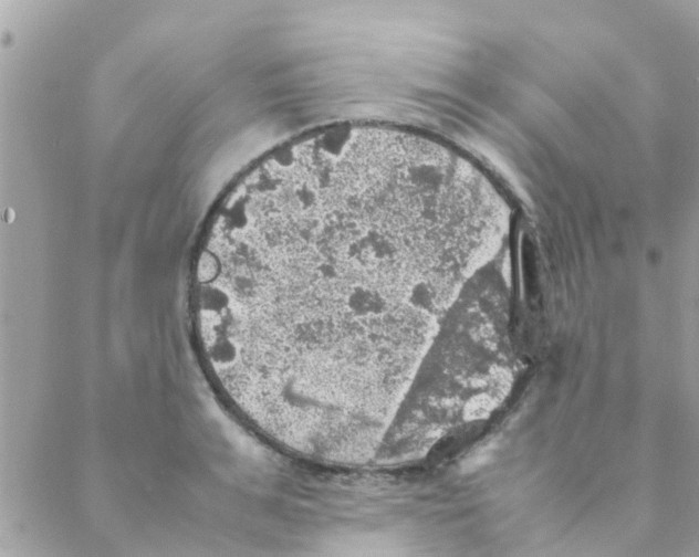 X0000088230991200706121851