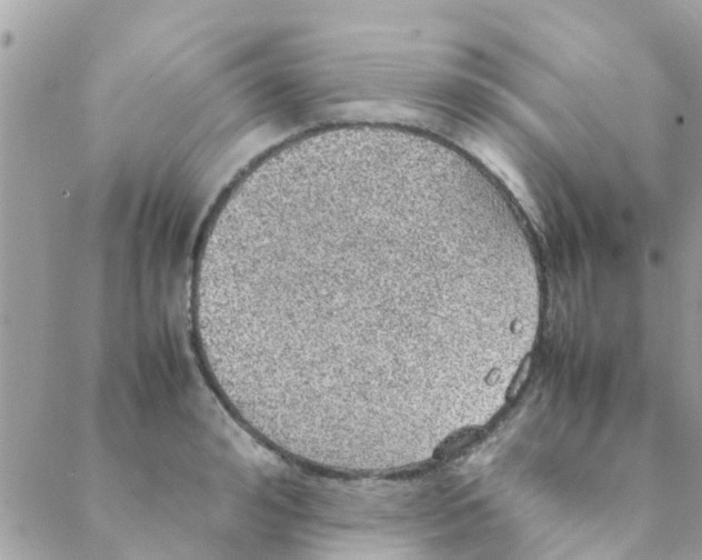 X0000088230992200706121851