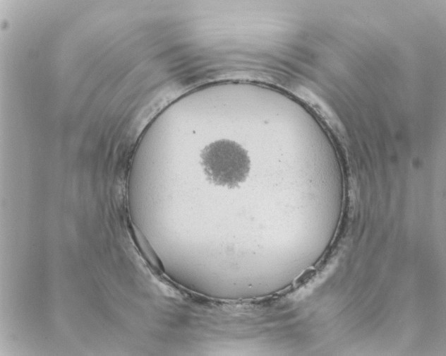 X0000088230993200706121851