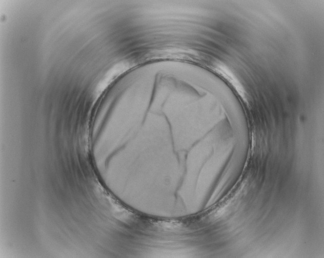 X0000088230994200706121851