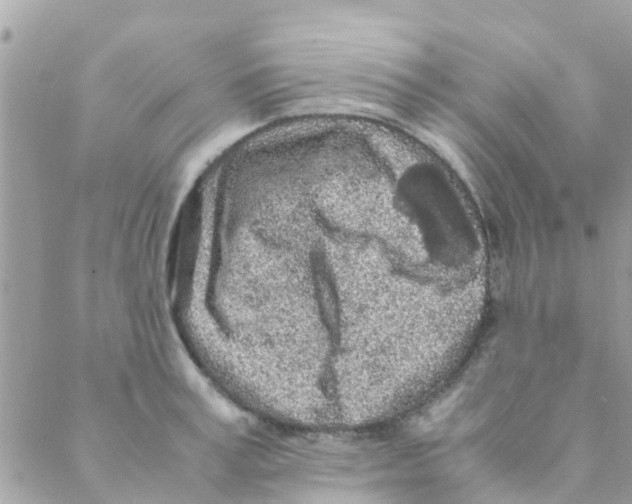 X0000088230995200706121851