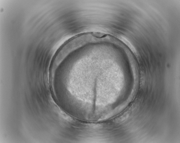 X0000088230996200706121851