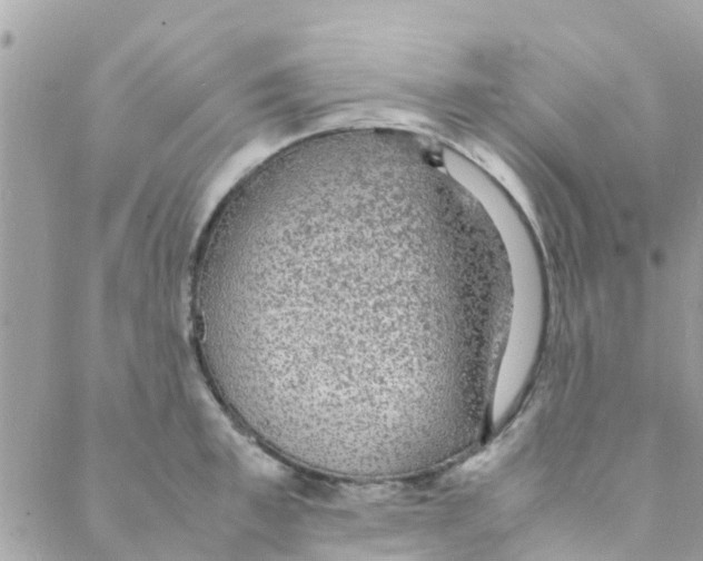 X0000088230997200706121851