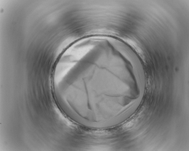 X0000088230998200706121851