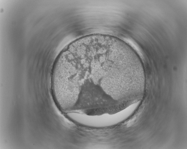 X0000088230999200706121851