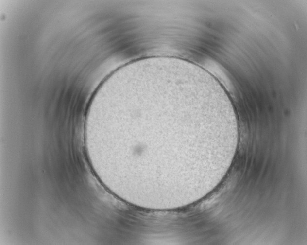 X0000088231000200706121851