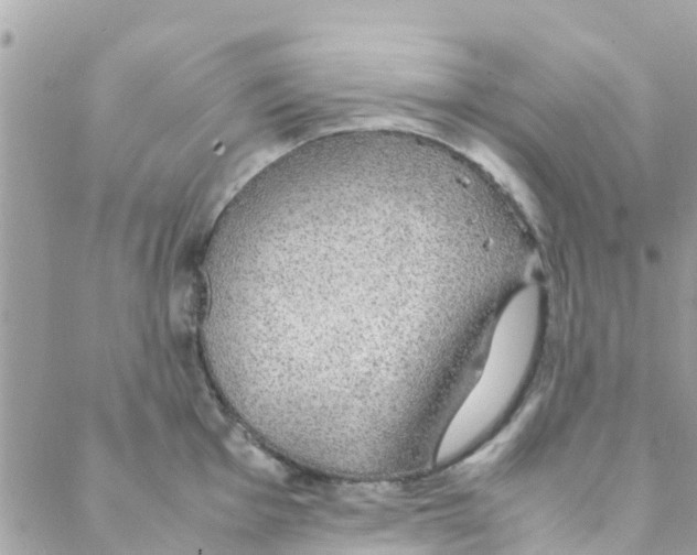 X0000088231001200706121851