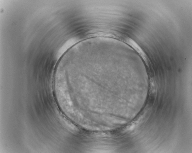 X0000088231002200706121851