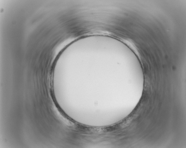 X0000088231003200706121851