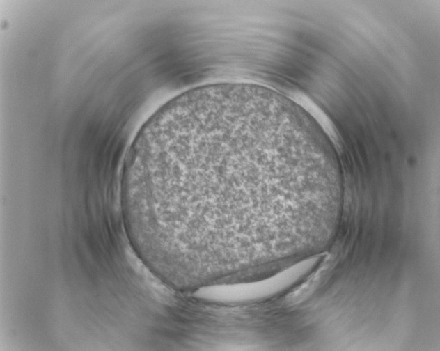 X0000088231004200706121851