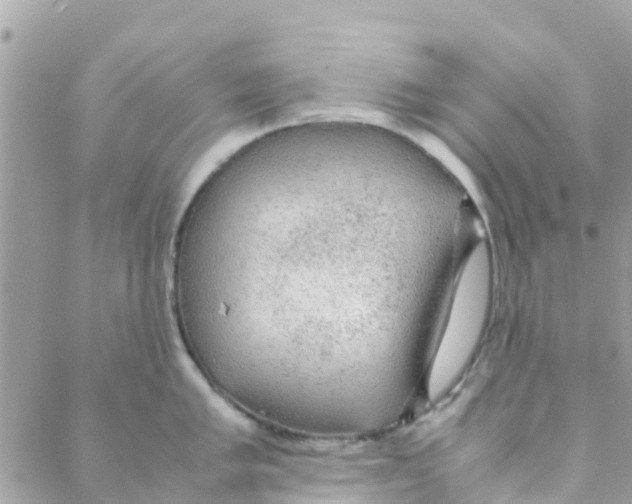 X0000088231005200706121851