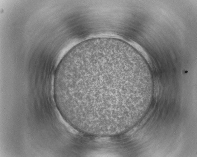 X0000088231006200706121851