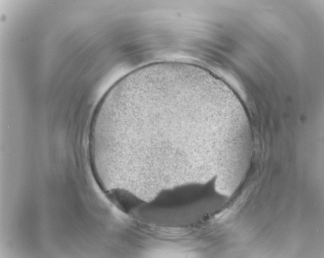 X0000088231007200706121851