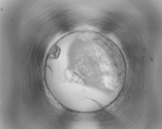 X0000088231008200706121851