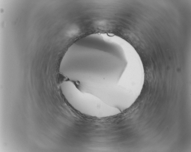 X0000088231009200706121850