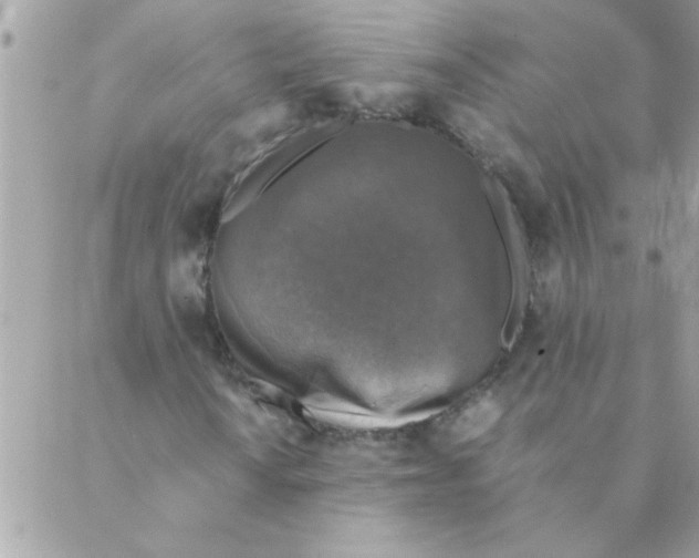 X0000088231010200706121850