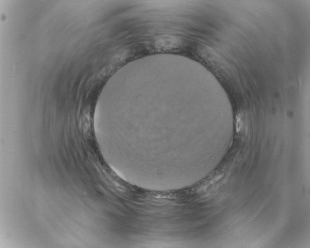 X0000088231011200706121850