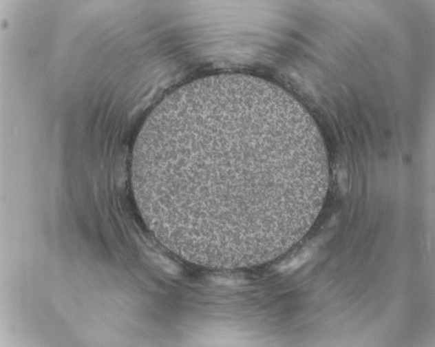 X0000088231012200706121850