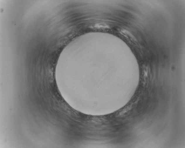 X0000088231013200706121850