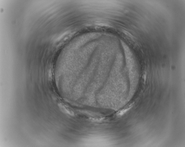 X0000088231014200706121850