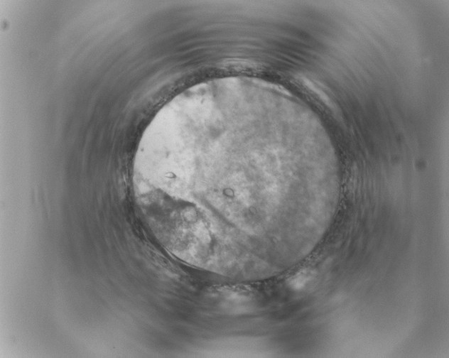 X0000088231015200706121850