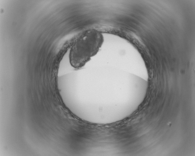 X0000088231016200706121850