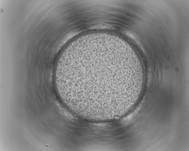 X0000088231017200706121850