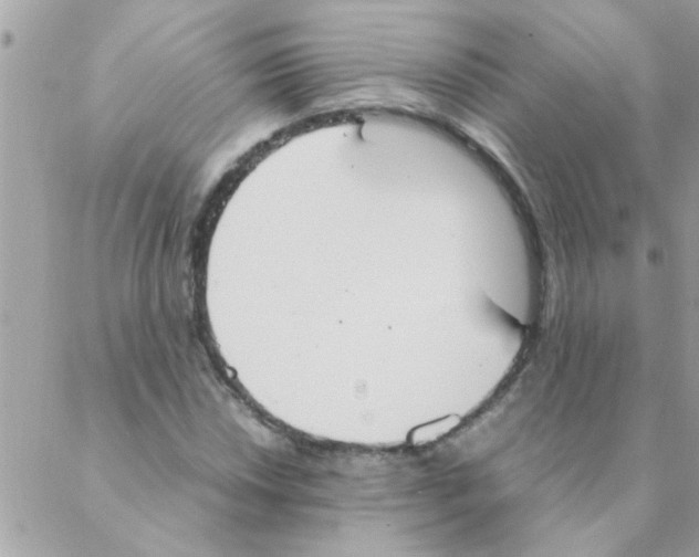 X0000088231018200706121850