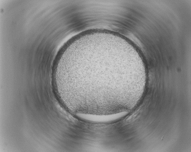 X0000088231020200706121850