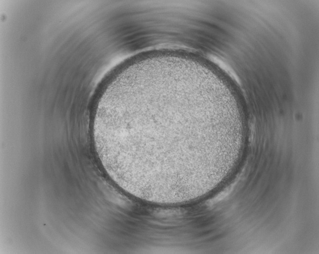 X0000088231021200706121850