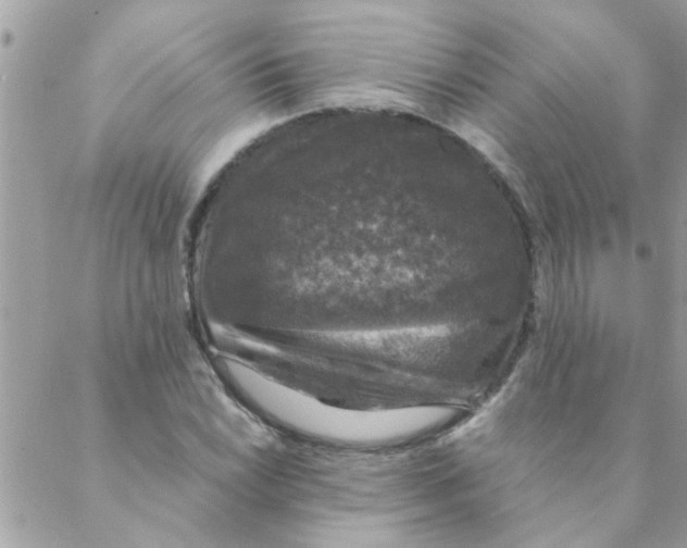 X0000088231022200706121850