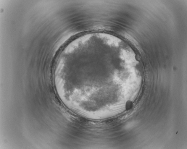 X0000088231023200706121850