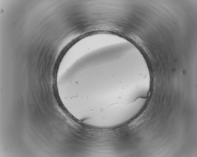 X0000088231024200706121850