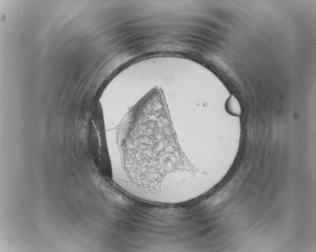 X0000088231025200706121850