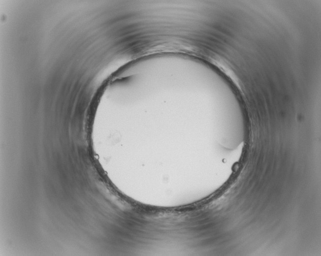 X0000088231026200706121851